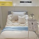 베드로슈퍼 이미지