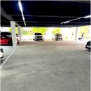 할스타일 이미지