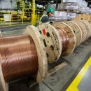 미국이 &#39;50%&#39; 관세 부과했지만 &#39;&#39;한국에겐 전혀 타격없다는&#39;&#39; 이 기술 이미지