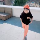 나무트레이닝 이미지