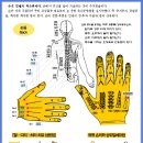 금요세미나(1/24일) 중수골 상응요법 이미지