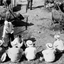 북평우시장 이미지