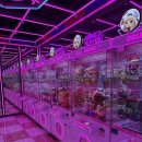 중봉대로612번길 | 인천 청라 커넬웨이 인형뽑기 투어 인형뽑기샵 장단점 솔직후기