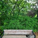 연수동 대학공원 (舊배수지공원)의자 보수관리 필요. 이미지