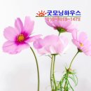 국제무도학원 이미지