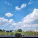 신흥북로49번길 이미지