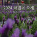 사라실 라벤더 단지 이미지