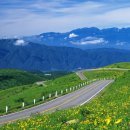 가야공인중개사 이미지