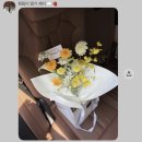 렌즈미안양1번가점 | 시험관 난임일기 / 난관수종, 난관절제술 수술, 자궁경, 아주대병원 3박4일 입원