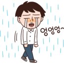 비봉면소재지 이미지