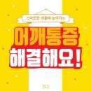 선 에스테틱 이미지