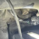 통일카클리닉 부분정비 | 포항디젤자동차수리전문점 포항 디젤자동차 수리, 제철카클리닉 후기입니다