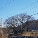 괴강주유소 이미지