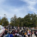 허니드리밍 이미지