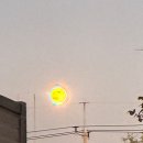 진병원 | 대구 mri 저렴한 병원 일자목으로 진병원 방문 물리치료 후기