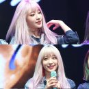 샤라네 이미지