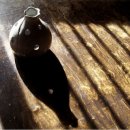 (주)행복한여행 이미지