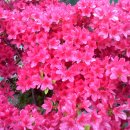 병호농장 이미지