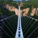 세계에서 가장 멋진 다리들 이미지