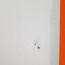 우미린 에듀시티 이미지