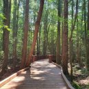 서귀포자연휴양림 이미지