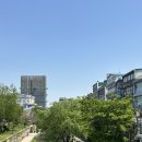 두나네마카롱 | 26-5