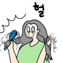 헤어살롱 정화헤어