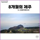 제일농약종묘사 | 제주 이주 가족의 좌충우돌 일상 기록 ft.노을명소 신창풍차해안도로 싱계물공원