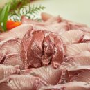 부두식당 - 속초시 | 부두식당