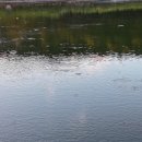 주식회사 우리엔텍 이미지