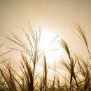 더 엠 호텔 이미지