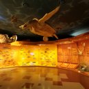 강화자연사박물관 이미지