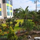 서호초등학교 병설유치원 이미지