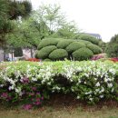 우리들원예사 이미지