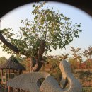 너른마당 이미지