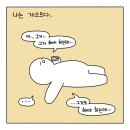 프로젝트에이블 티스토리