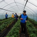 범석농장 이미지