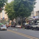 주정차2 이미지