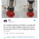 댕댕이꺼 이미지