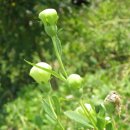 이정자농원 이미지