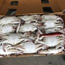 형진수산 이미지