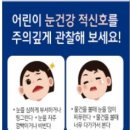 더글라스샵 이미지