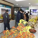 의령군농업기술센터 이미지