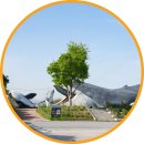 (주)파란고래 | 울산 목향장미 스팟 장생포고래문화마을 고래광장 개화상황 위치