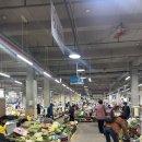 몽도리충무김밥 | 거제 고현시장 구경 전현무계획 몽도리 충무김밥 포장 후기