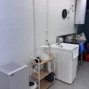 금촌애견 이미지