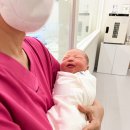 에끌라마마 산후조리원 이미지