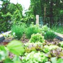 정석농장 이미지