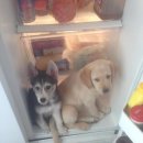 워시랜드 셀프세차 이미지