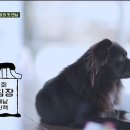 화천상회 이미지